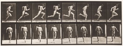 61. tábla. Teljes sebességgel futás (tökéletlen akció, cipők) alkotó: Eadweard Muybridge