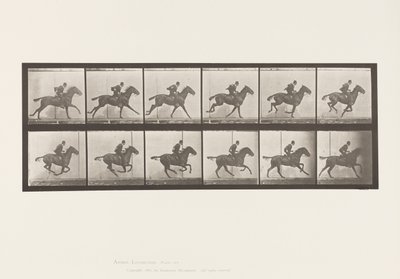 tábla 624. Vágta; Nyereg; Bay Horse Daisy alkotó: Eadweard Muybridge