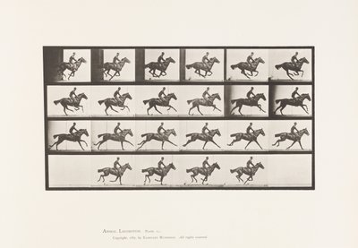 tábla 625. Vágta; Telivér öböl ló csokor alkotó: Eadweard Muybridge
