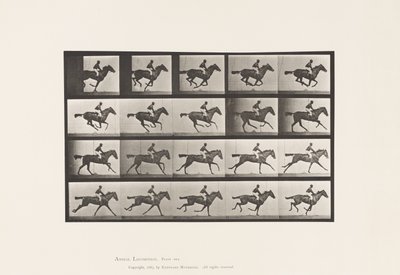tábla 627. Vágta; Telivér Bay Mare Annie G. alkotó: Eadweard Muybridge