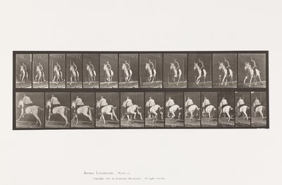 tábla 630. Vágta; Nyereg; Szürke Kanca Pandora alkotó: Eadweard Muybridge