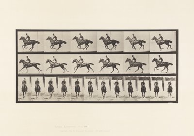 tábla 632. Vágta; Nyereg; Telivér öböl ló csokor alkotó: Eadweard Muybridge