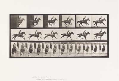 tábla 633. Vágta; Nyereg; Telivér öböl ló csokor alkotó: Eadweard Muybridge