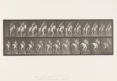 tábla 635. Vágta; Nyereg; Szürke Kanca, Pandora alkotó: Eadweard Muybridge