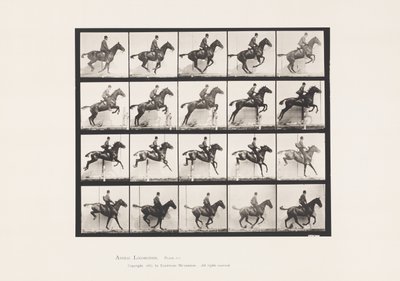 640. tábla Gátugrás; Nyereg; Bay Horse Daisy alkotó: Eadweard Muybridge