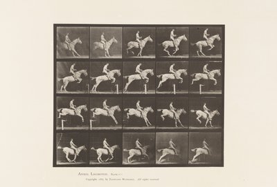 642. tábla Gátugrás; Nyereg; Rider, 105, akt; Szürke Kanca, 1885 alkotó: Eadweard Muybridge