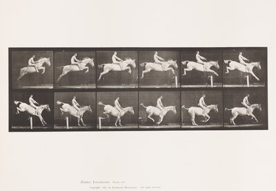 643. tábla.Gátugrás; Csupasz hátú; Elszámolás és leszállás; alkotó: Eadweard Muybridge