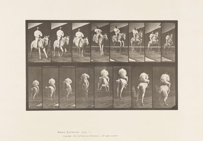 644. tábla Gátugrás; Nyereg; Tisztítás és leszállás alkotó: Eadweard Muybridge