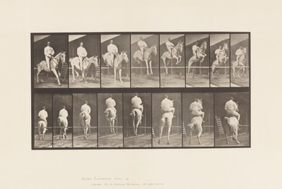 645. tábla.Gátugrás; Nyereg; Tisztítás és leszállás alkotó: Eadweard Muybridge