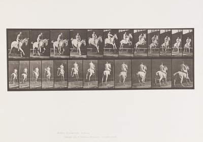 647. tábla Gátugrás; Csupasz hátú; Lovas alkotó: Eadweard Muybridge