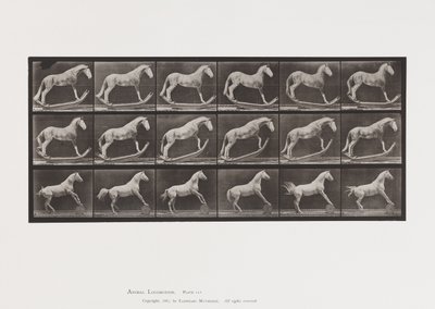 649.A tábla, Hornet, Ringató; B, Eagle, Rolling Barrel stb. alkotó: Eadweard Muybridge