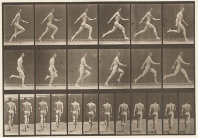 64. tábla. Teljes sebességgel fut alkotó: Eadweard Muybridge
