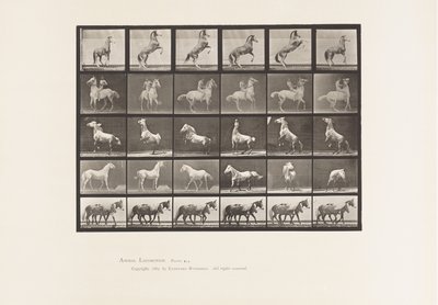 tábla 652. A, B, C, D, E, Lónevelés stb. alkotó: Eadweard Muybridge