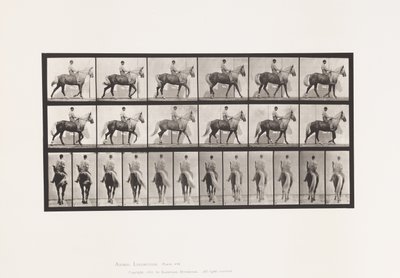 tábla 653. Séta; Nyereg; Sánta, jobb első láb; Lóbőr alkotó: Eadweard Muybridge