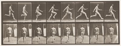 65. tábla. Teljes sebességgel futás., 1872-1885 alkotó: Eadweard Muybridge