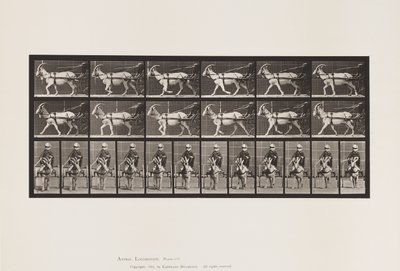 tábla 678. Kecske; Ügető, Sulkyban alkotó: Eadweard Muybridge