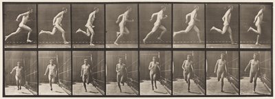 67. tábla Futó, 1872-1885 alkotó: Eadweard Muybridge