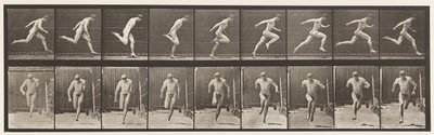 68. tábla Futó, 1872-1885 alkotó: Eadweard Muybridge