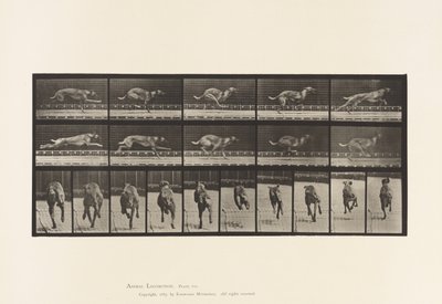 tábla 708. Kutya; Galoppozó; Barna versenykutya alkotó: Eadweard Muybridge
