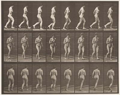 70. tábla Futó., 1872-1885 alkotó: Eadweard Muybridge