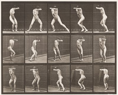 73. tábla. Megfordulás meglepetésében és menekülés, 1872-1885 alkotó: Eadweard Muybridge