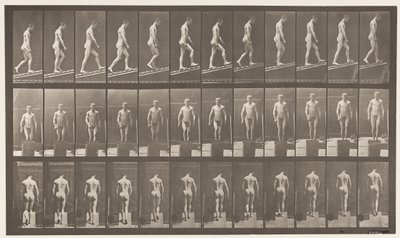 74. tábla. Emelkedő lejtő, szög 1 a 4-ben alkotó: Eadweard Muybridge