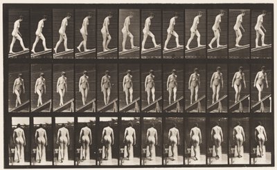 76. tábla. Emelkedő lejtő alkotó: Eadweard Muybridge
