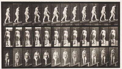 77. tábla. Emelkedő lejtő alkotó: Eadweard Muybridge