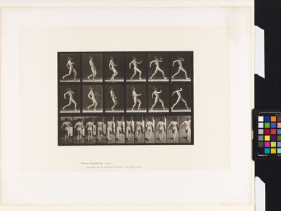 7. tányér.Séta alkotó: Eadweard Muybridge