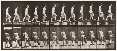 83. tábla. Emelkedő lejtő, vödör víz a jobb kézben alkotó: Eadweard Muybridge