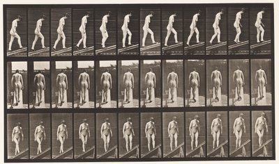 85. tábla. Emelkedő lejtő alkotó: Eadweard Muybridge