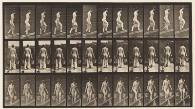 87. tábla. Emelkedő lejtő, mindkét kezében vödör víz alkotó: Eadweard Muybridge