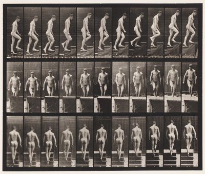 88. tábla. Felmenő lépcsők, 1872-1885 alkotó: Eadweard Muybridge