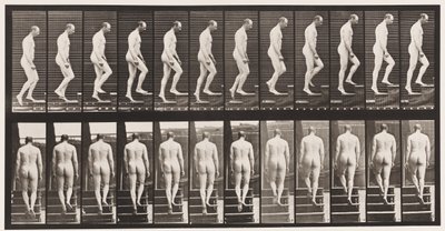 89. tábla. Felmenő lépcsők alkotó: Eadweard Muybridge