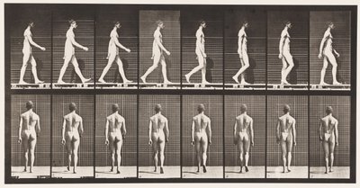 Tányér 8. Séta alkotó: Eadweard Muybridge