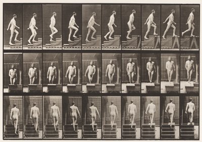 90. tábla. Felmenő lépcsők alkotó: Eadweard Muybridge