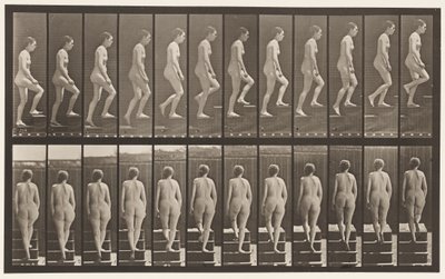 92. tábla. Felmenő lépcsők alkotó: Eadweard Muybridge