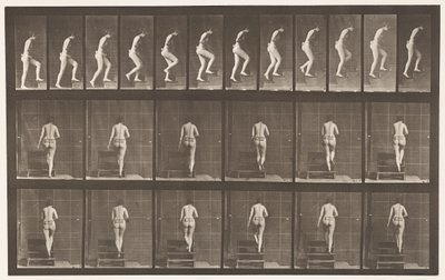 93. tábla. Felmenő lépcsők alkotó: Eadweard Muybridge