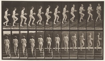 94. tábla. Felmenő lépcsők körülnézve; Medence a kezében alkotó: Eadweard Muybridge