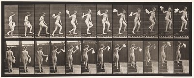 96. tábla. Felmenő lépcsők körülnézve; Integető zsebkendő alkotó: Eadweard Muybridge