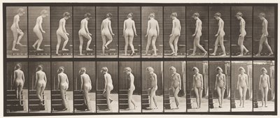 98. tábla Forduló és felmenő lépcsők, 1872-1885 alkotó: Eadweard Muybridge