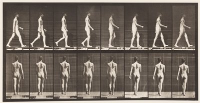 9. tábla Séta, 1872-1885 alkotó: Eadweard Muybridge