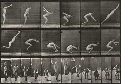  alkotó: Eadweard Muybridge