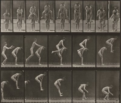  alkotó: Eadweard Muybridge