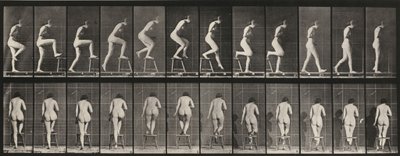  alkotó: Eadweard Muybridge