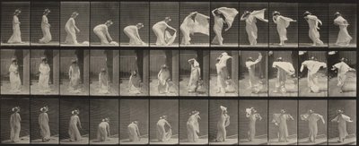  alkotó: Eadweard Muybridge