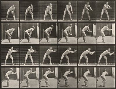 280. számú tábla. Baseball, labdaelkapás alkotó: Eadweard Muybridge