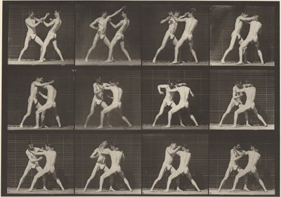340-es rendszám. Boksz, nyitott kézzel (cipő),1887 (fénykép) alkotó: Eadweard Muybridge