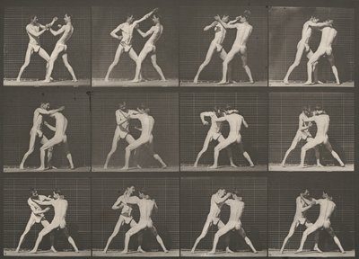 340. számú tábla. Boksz, nyitott kéz alkotó: Eadweard Muybridge