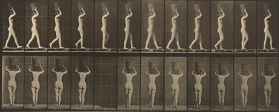 A 34-es számú rendszám. Sétál és 15 kilós kosarat cipel a fején, kezét felemelve,1887 (fénykép) alkotó: Eadweard Muybridge